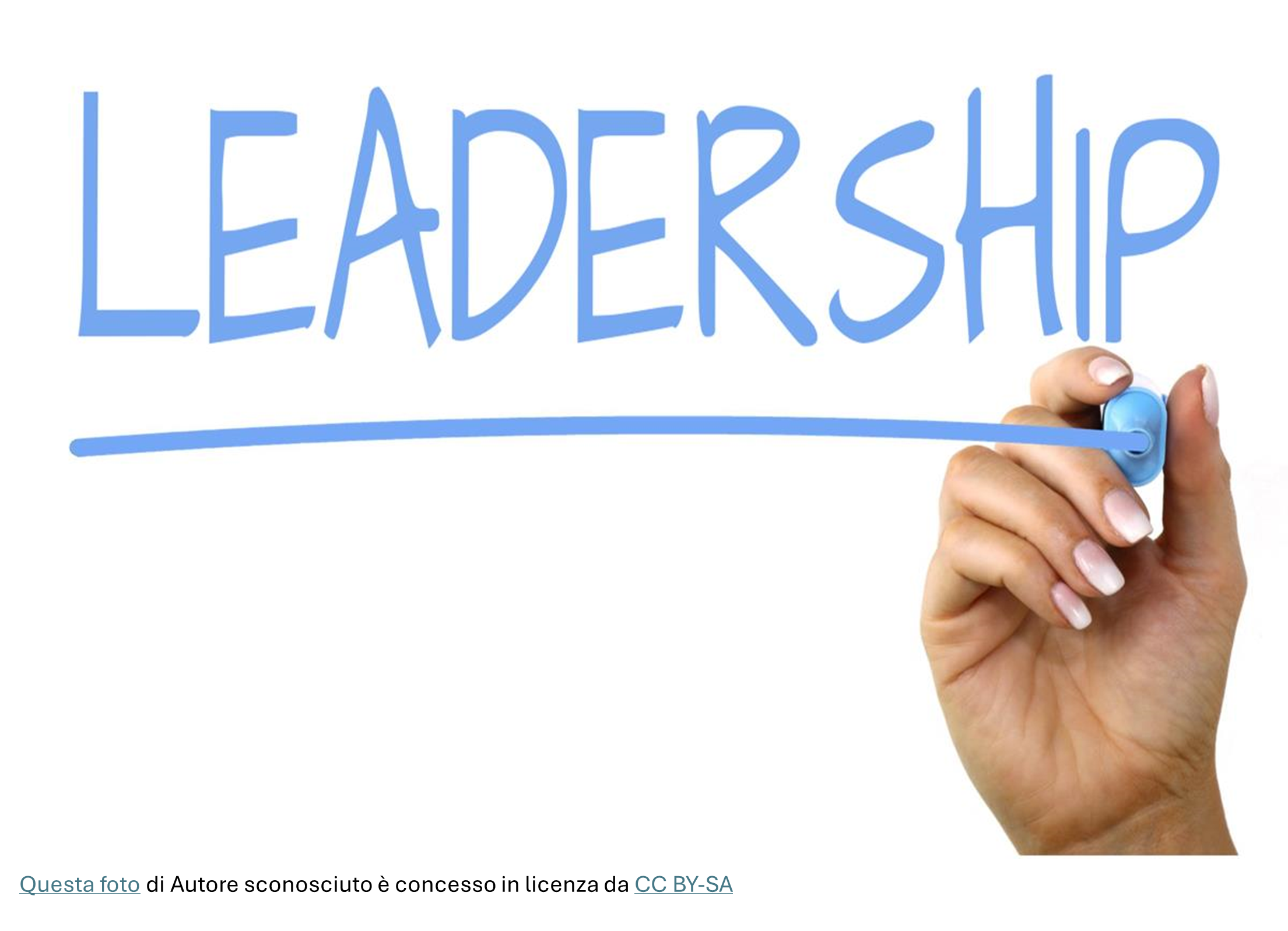 The Leader Formula: le 4 cose che fanno un buon leader